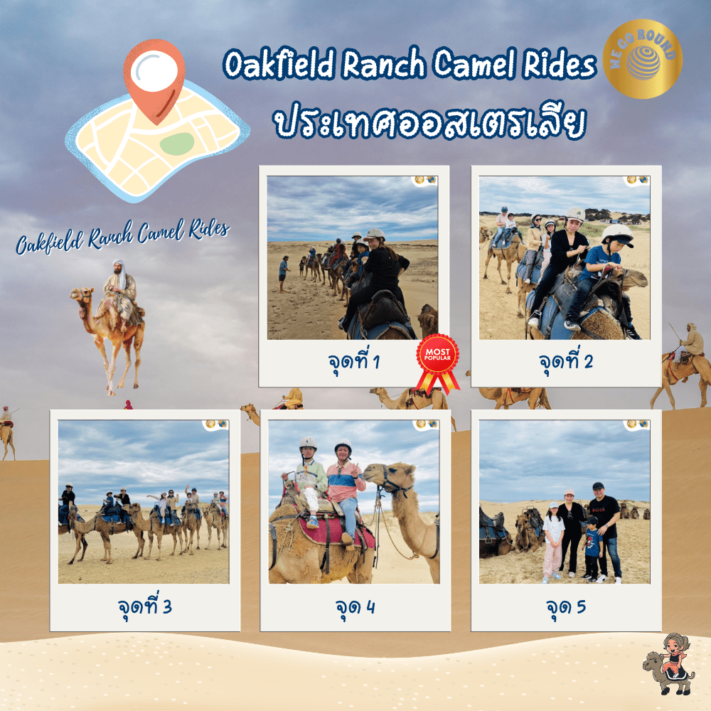 ภาพบรรยากาศของลูกค้าทริป DISNEY CRUISE & FUN IN AUSTRALIA 16 – 24 OCT 2024 🐪🇦🇺