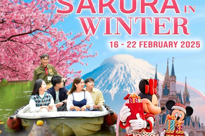 First sakura in winter (Snow time) 16-22 Feb 2025