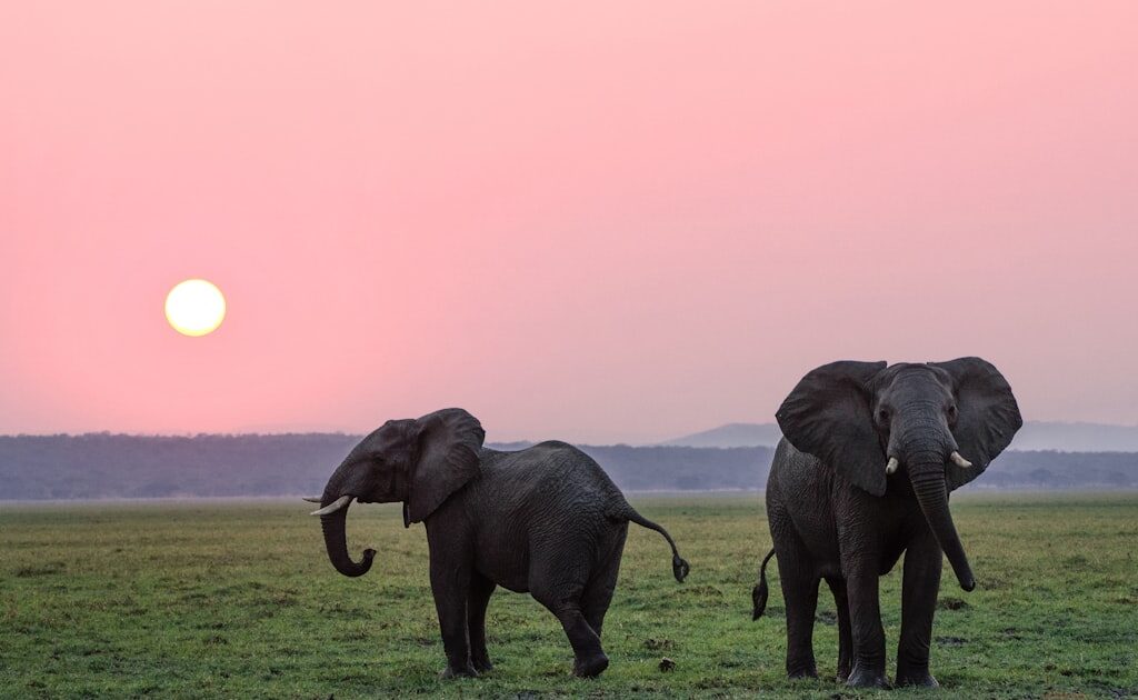 Chiang Mai with Kids: A 3-Day Family Itinerary You Will Love