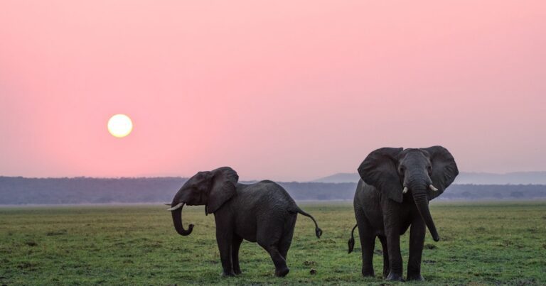Chiang Mai with Kids: A 3-Day Family Itinerary You Will Love