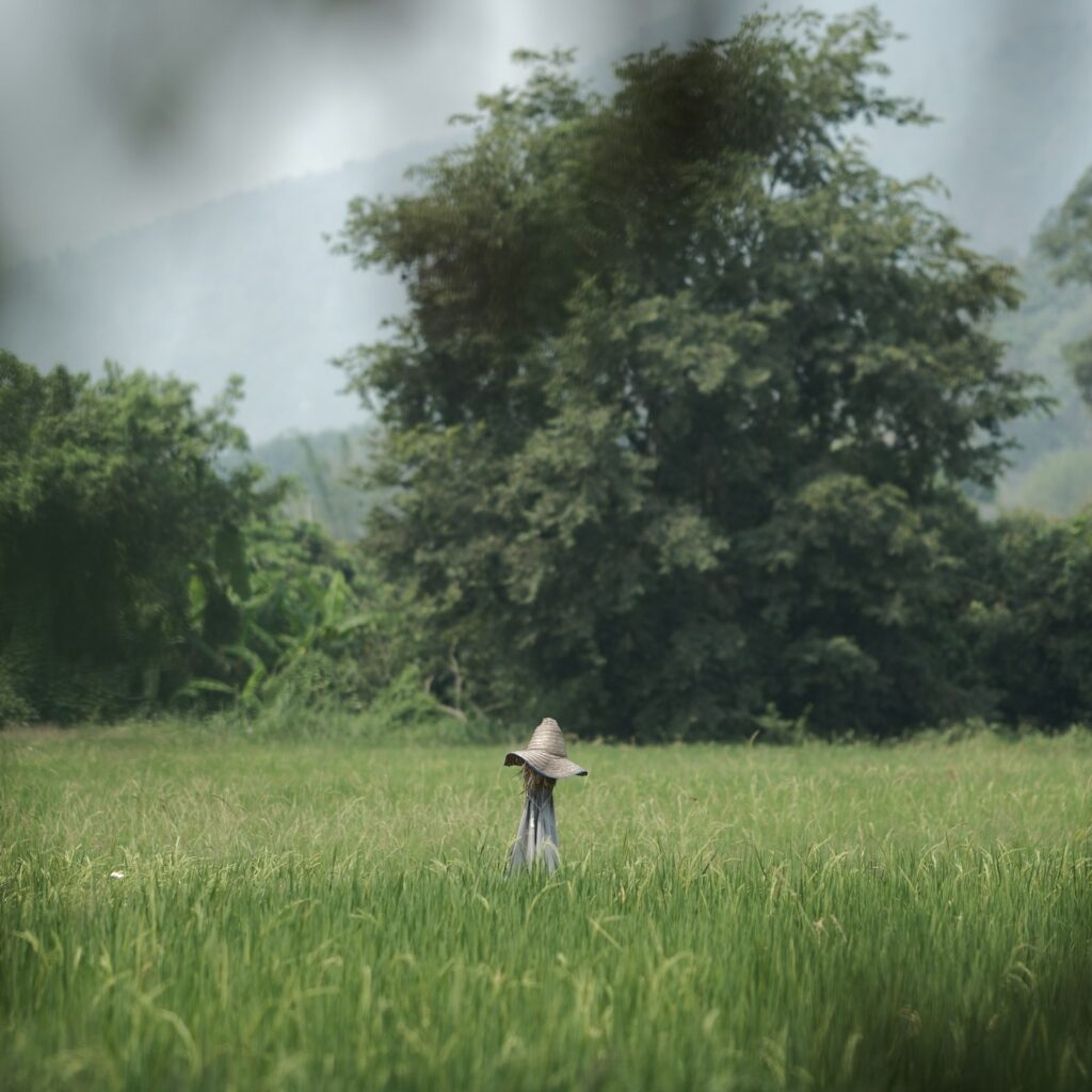 Is Isan Worth Visiting? An Honest Traveller’s Guide to Northeast Thailand