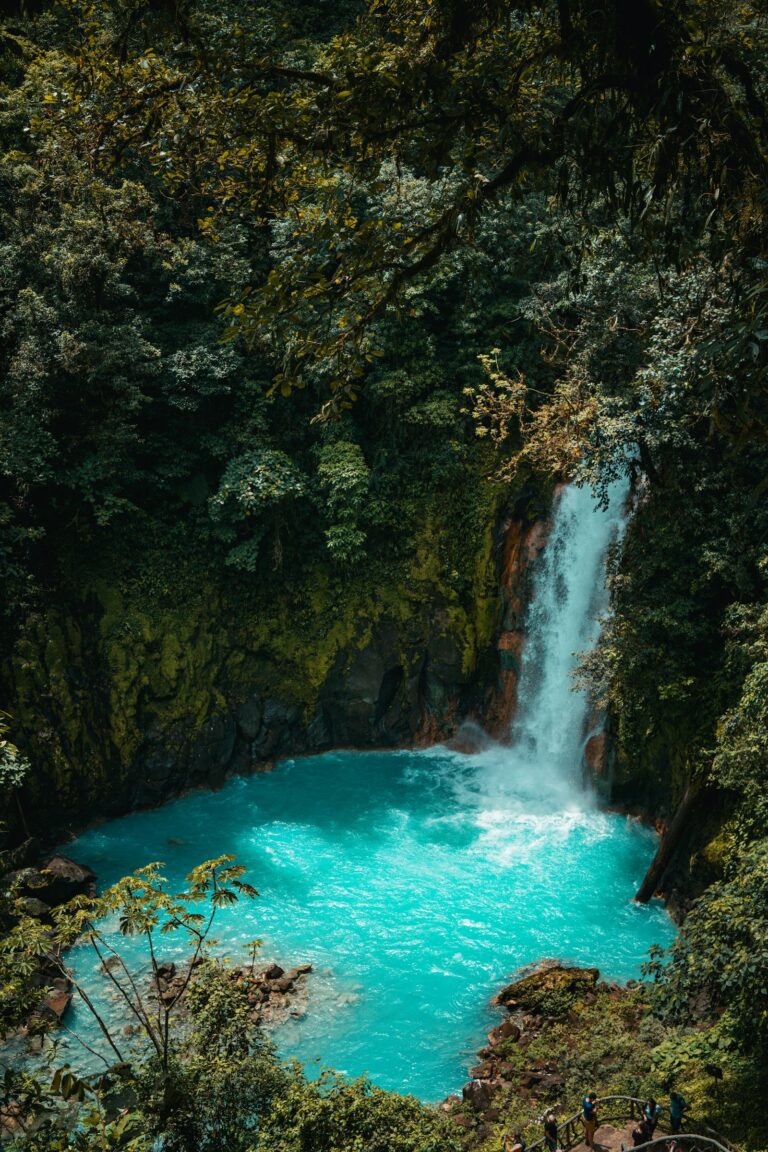 Khao Yai National Park: The First-Timer’s Complete Guide