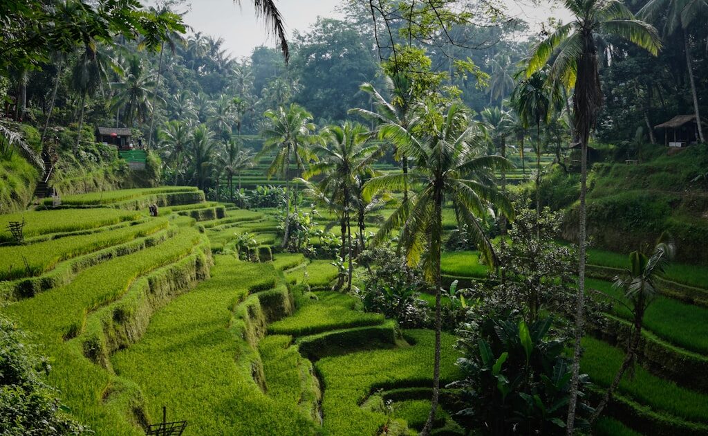 10 Things Every First-Time Traveller to Thailand Should Know