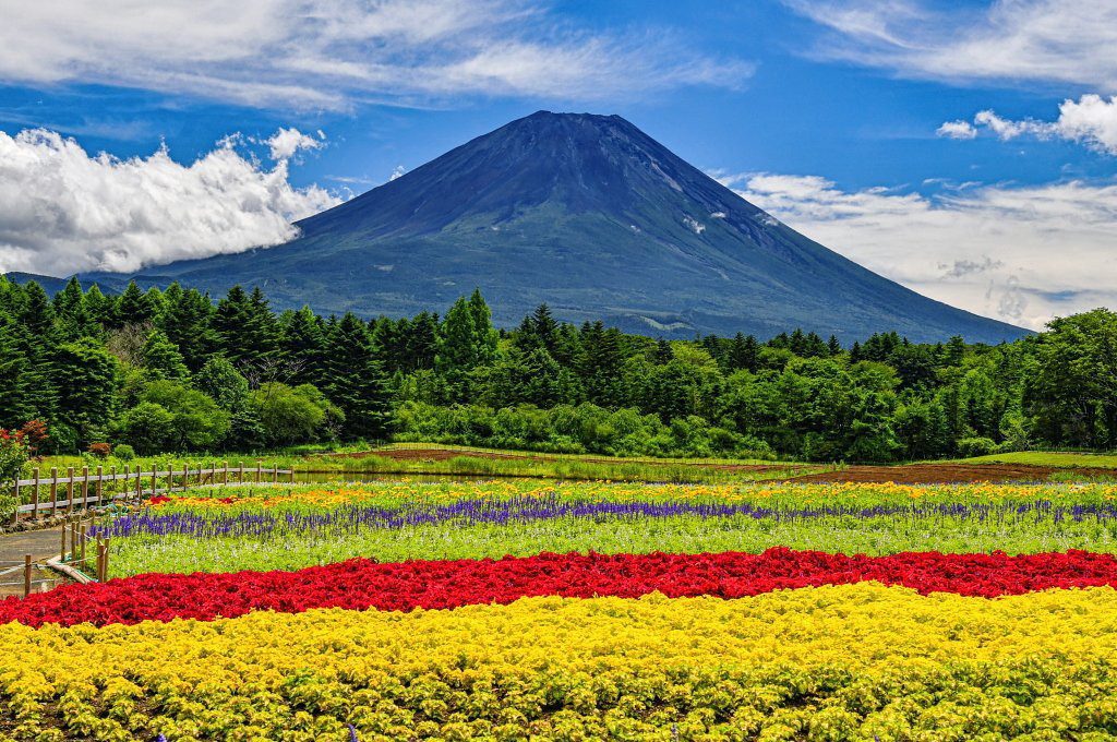 LINE_ALBUM_Rainbow Flower Festival_230825_16_0