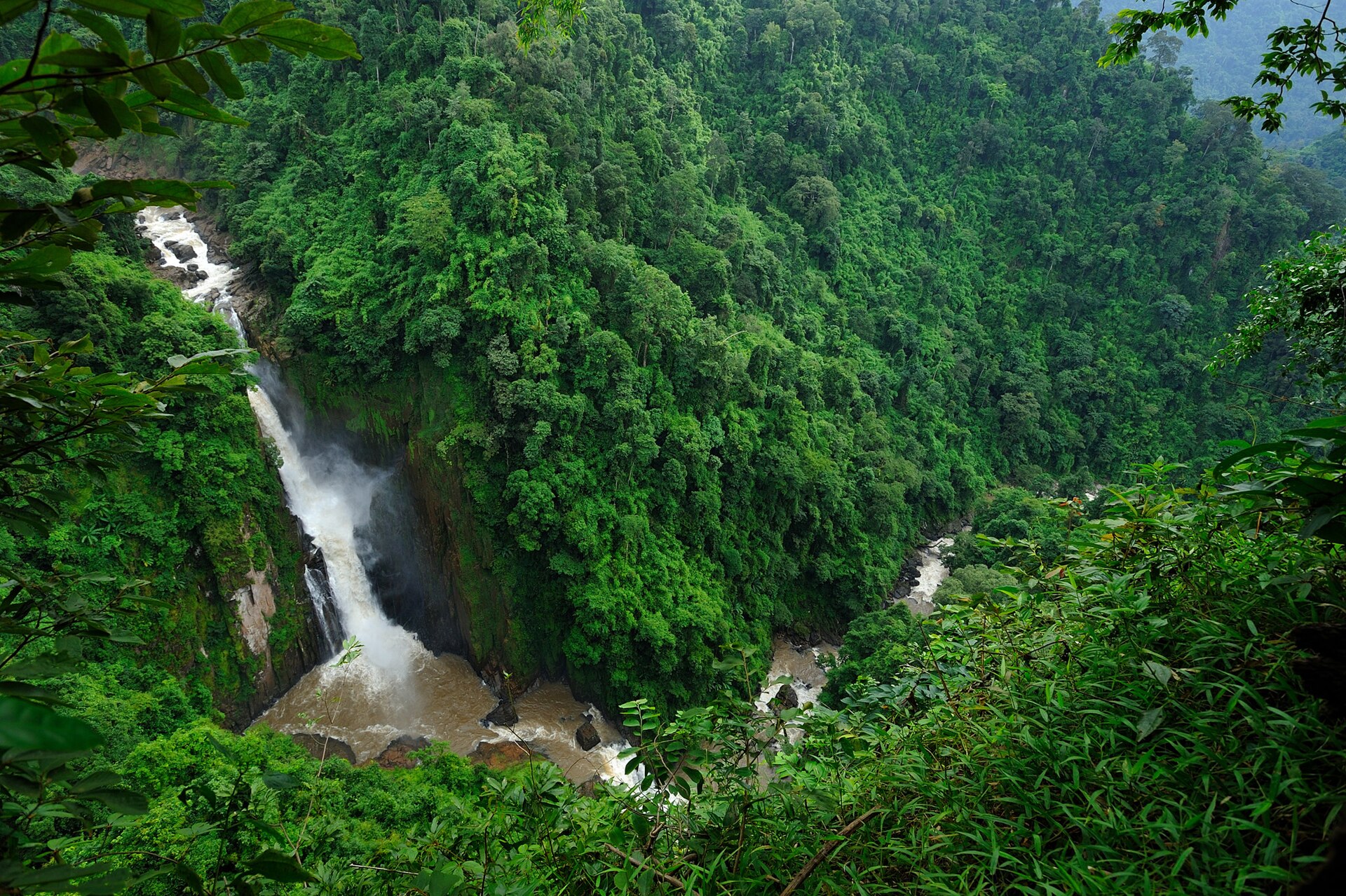 Khao Yai: Jungle Trails & Waterfalls — a 2-Day Trek